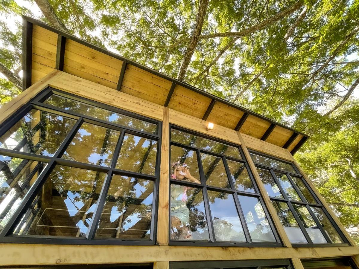 Casa En El Arbol Villa Utica Exteriör bild