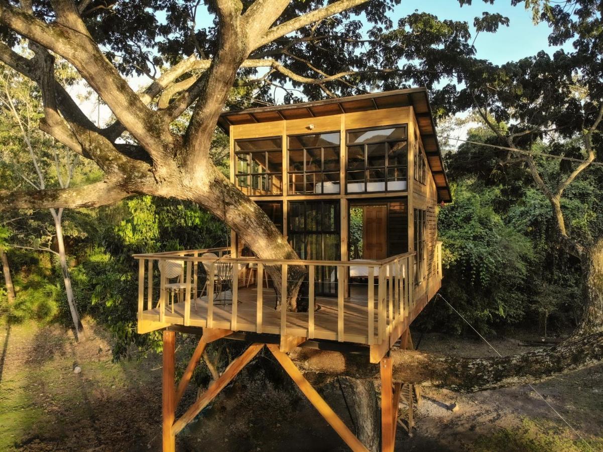 Casa En El Arbol Villa Utica Exteriör bild