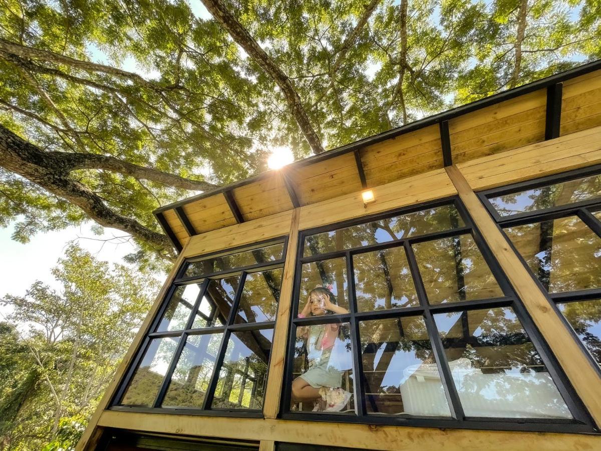 Casa En El Arbol Villa Utica Exteriör bild