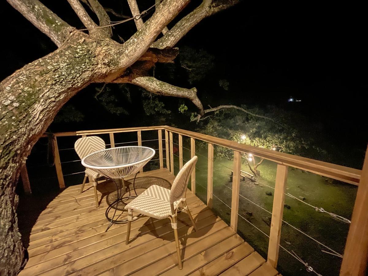 Casa En El Arbol Villa Utica Exteriör bild