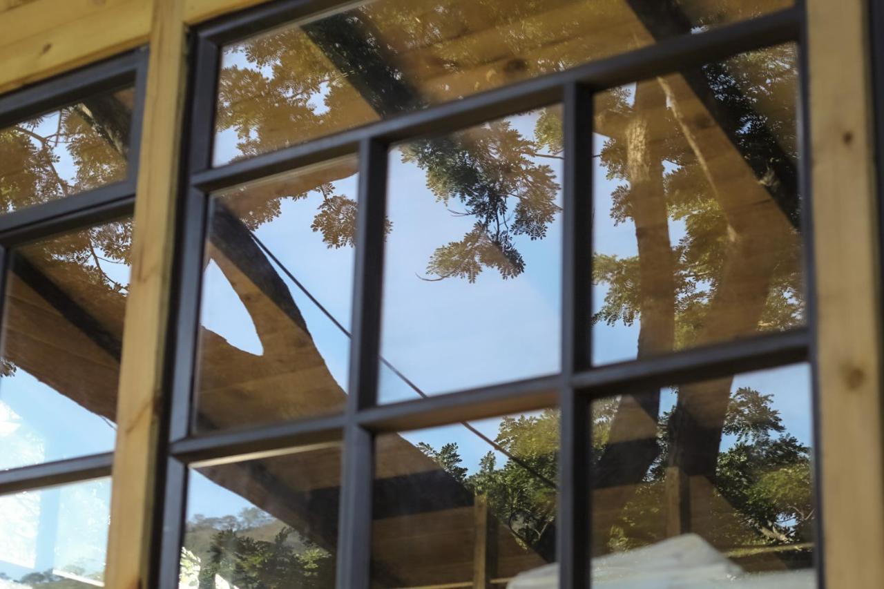 Casa En El Arbol Villa Utica Exteriör bild